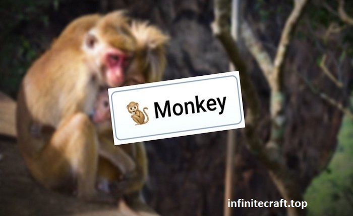 How to Make a Monkey in Infinite Craft